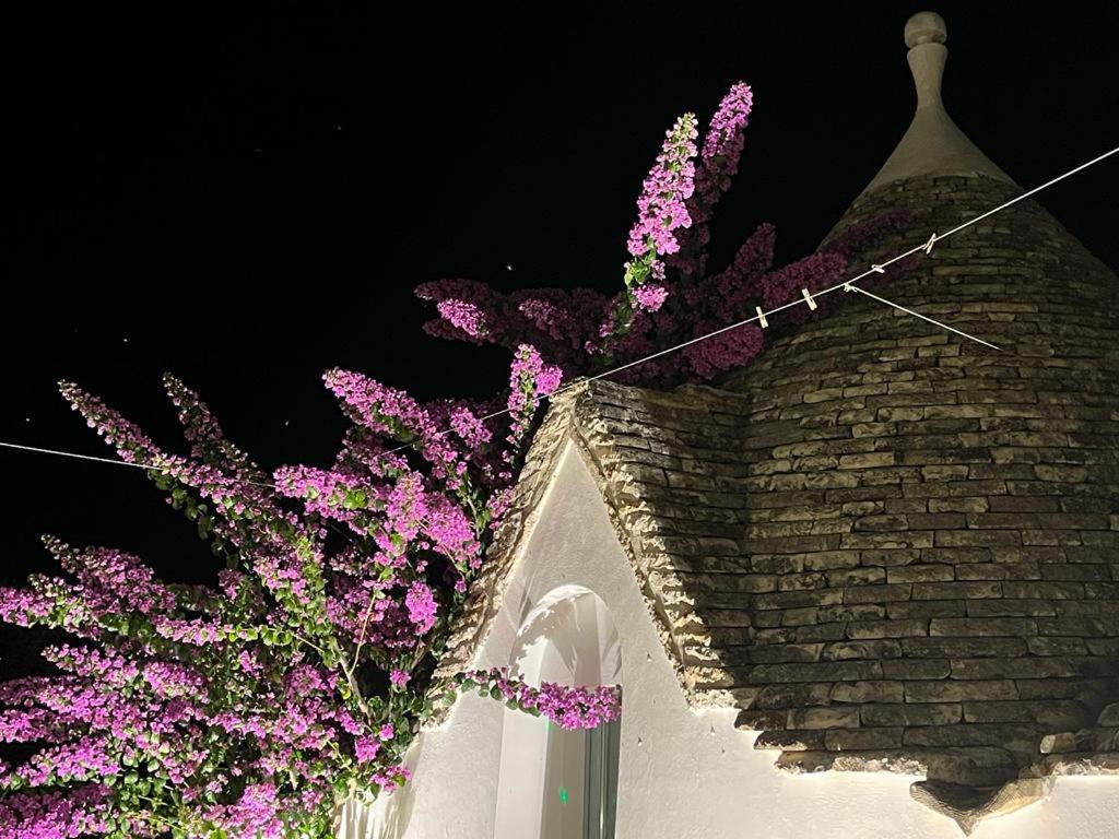 Trulli Harmonia Con Piscina - Alberobello Eksteriør bilde